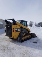 2015 CAT 299D2