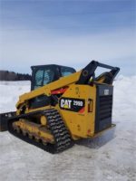 2015 CAT 299D2
